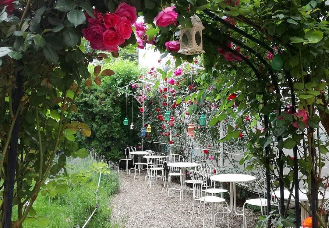 Terasa Greentea din București, fotografiata prin cadrul unei bolde de trandafiri, prin care se vad mesele albe, metalice, rotunde, curtea plina de iarba si zidurile acoperite de trandafiri