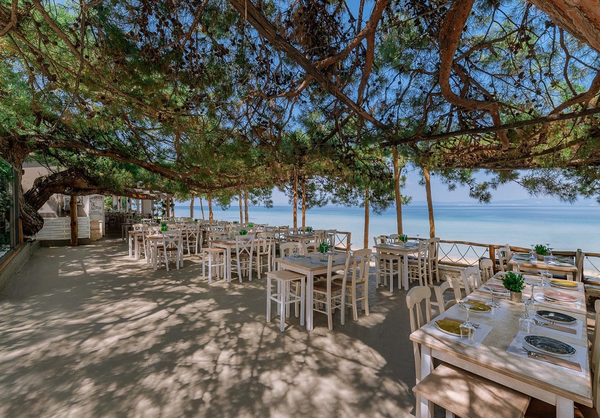 Pefkospilia Restaurant & Beach Bar cu mese albe pe terasa de la malul marii, umbrita de pini desi