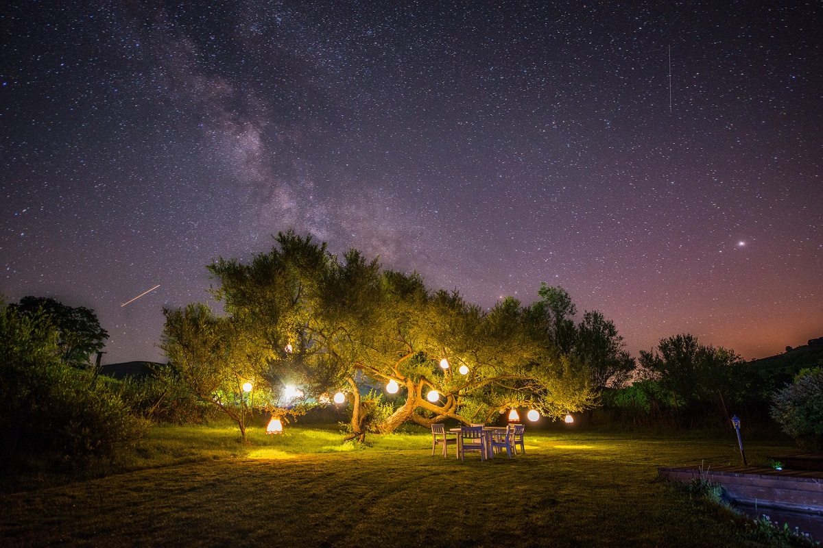 poienita cu un copac mare, luminat cu felinare electrice, iar sub el o bancuta, fotografiate seara cu cerul plin de stele la Valea Verde Retreat, recomandări weekend
