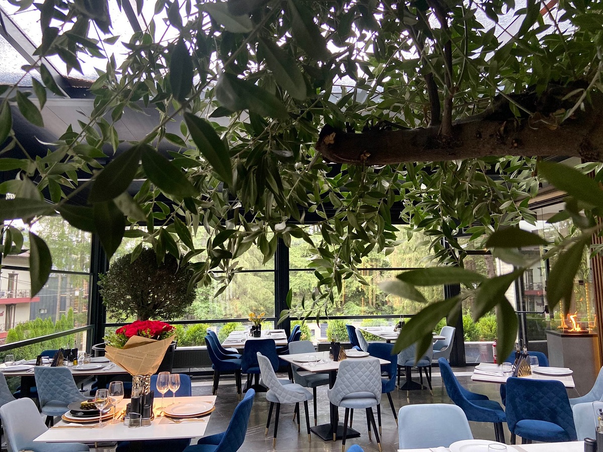 sala de mese de la restaurant Noir Predeal, cu mobilier modern si scaune tapitate albe si albastre, iar in prim plan crengile unui maslin. unul din cele mai bune restaurante de pe Valea Prahovei
