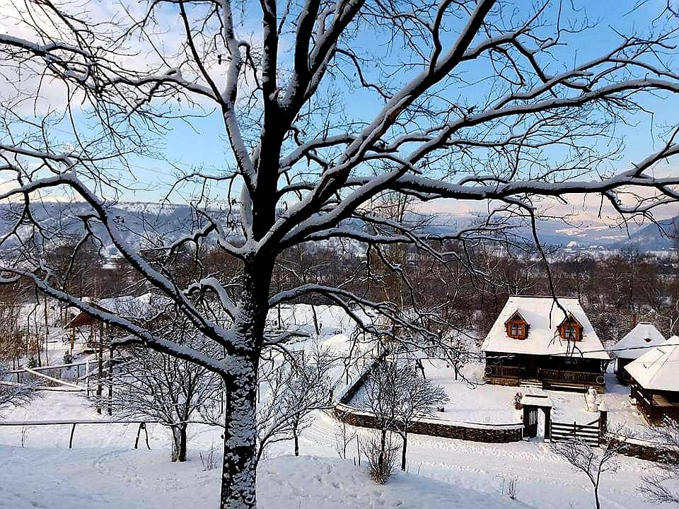 Casuta din Scobai fotografiata din departare printre copaci, un peisaj de iarna cu zapada