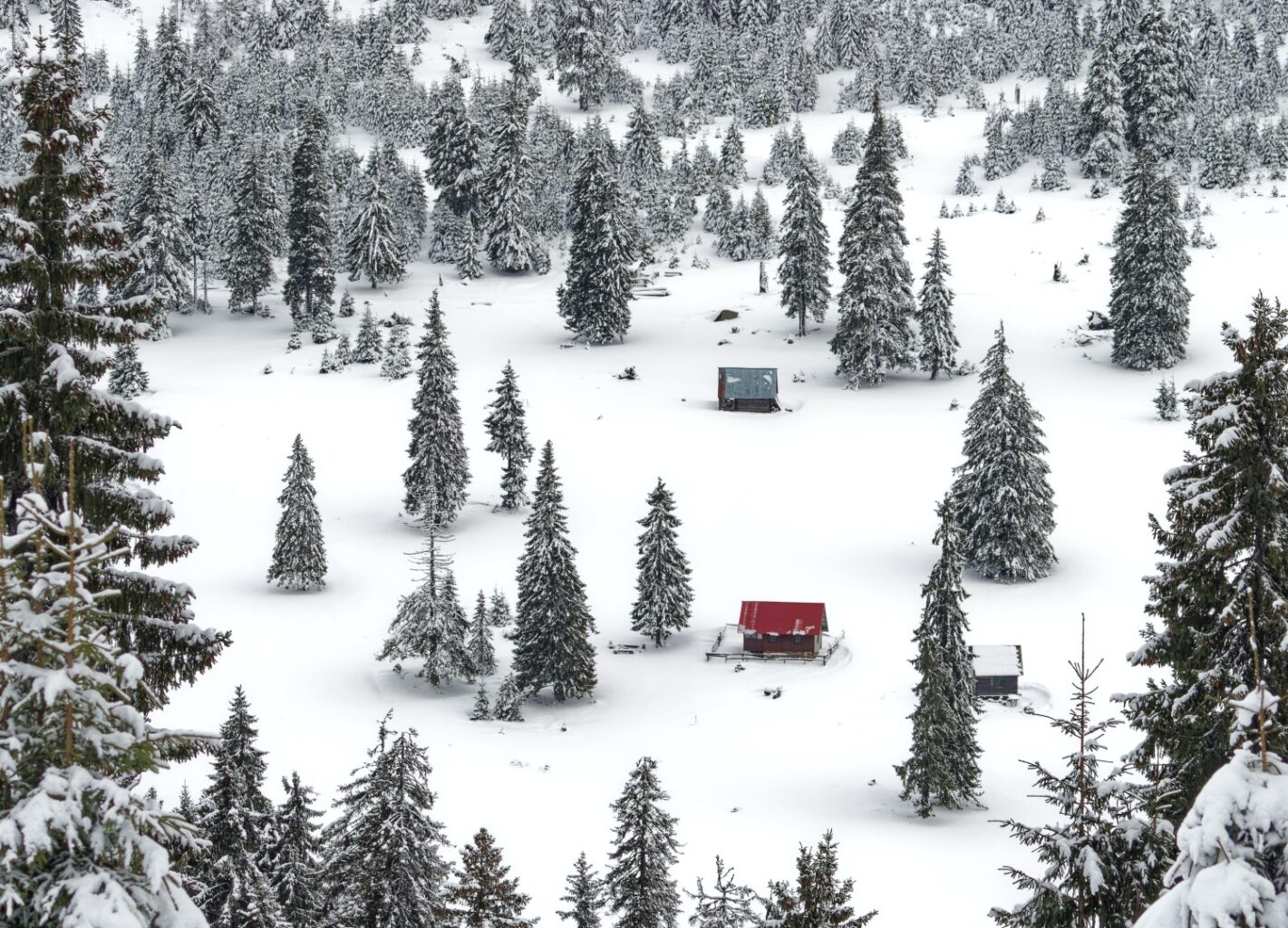 peisaj de munte, cu un munte inzepazeit, brazi ninsi, air intre ei doua cabunute foarte mici - locuri unde sa petreci un Crăciun autentic românesc