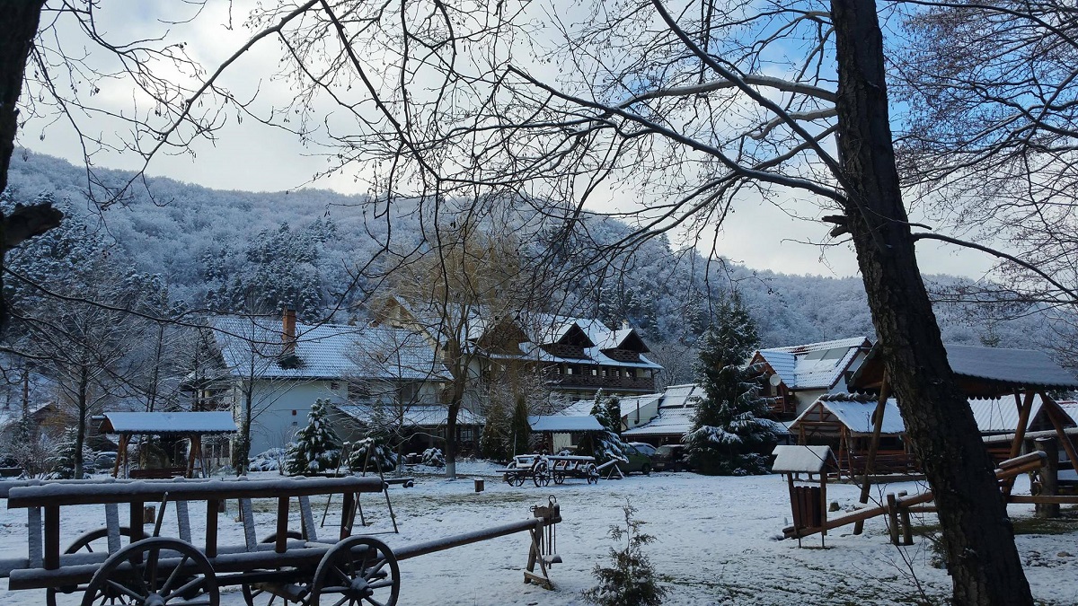 pensiunea cotiso fotografiata din departare, printre ramurile unui copac, fotografiata iarna, cu zapada, un loc unde să petreci un Crăciun autentic românesc în Ardeal