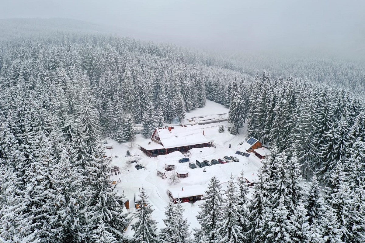 Cabana Bucin & Sauna Village fotografiata de sus, din departare, acoperita de zapada si inconjurata de padure de brazi ninsi