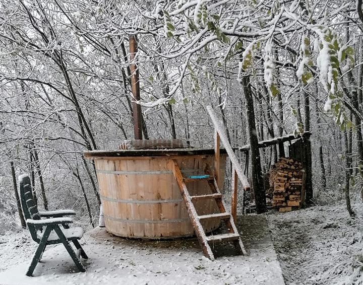 ciubar de lemn cu scarita de lemn, fotografiat printre copacii ninsi, la Casa Gold, una din pensiuni cu ciubăr