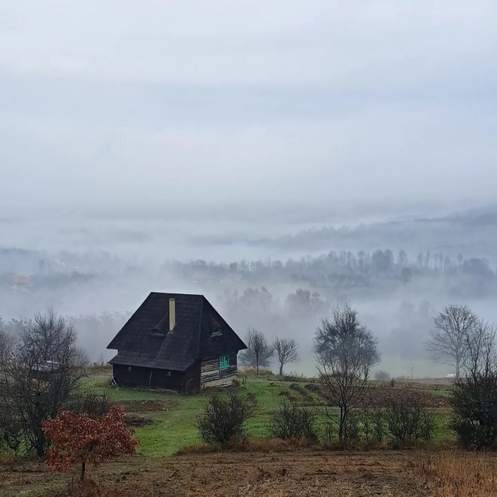 Casa Glod fotografiata din departare, printre copaci, iar in fundal valea acoperită de ceață
