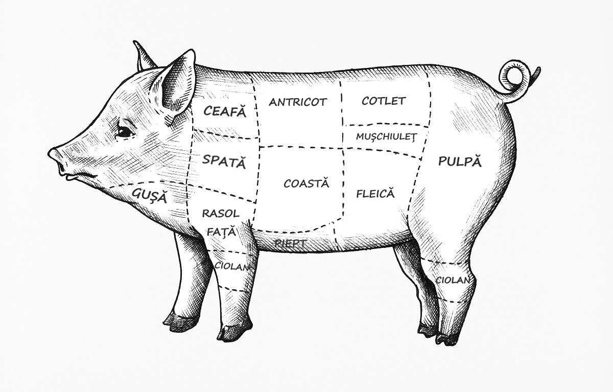 desen alb negru cu un porc si denumirea fiecarei portiuni pentru portionarea porcului