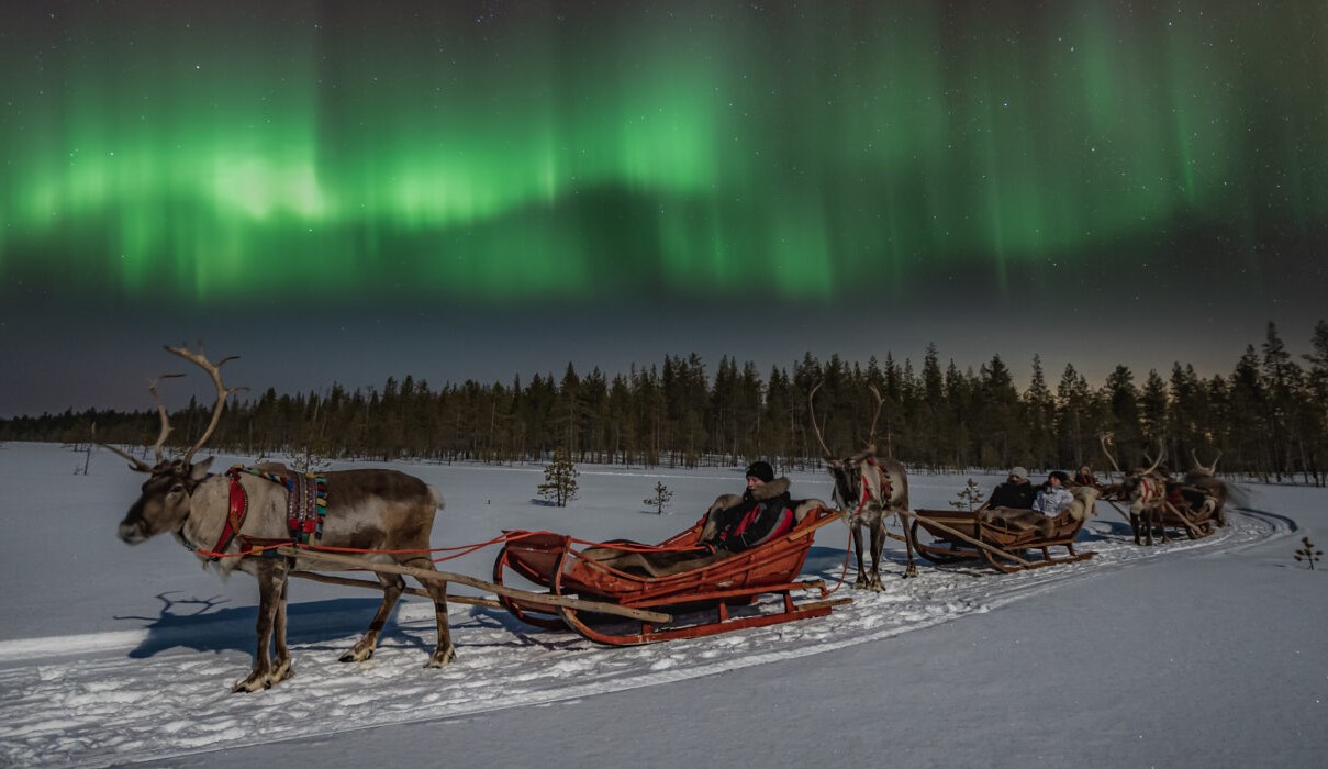 plimbare cu saniile trase de reni sub cerul aurorei boreale, acasă la Moș Crăciun în Rovaniami, Laponia