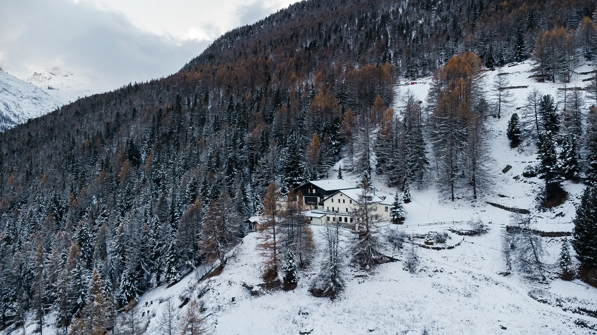 Hotel Fletschhorn fotografiat din departare, iarna, printre copaci, in stațiunea Saas-Fee din Elveția